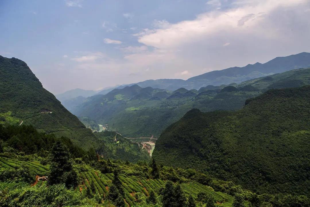点亮大山希望 彰显琨能温度