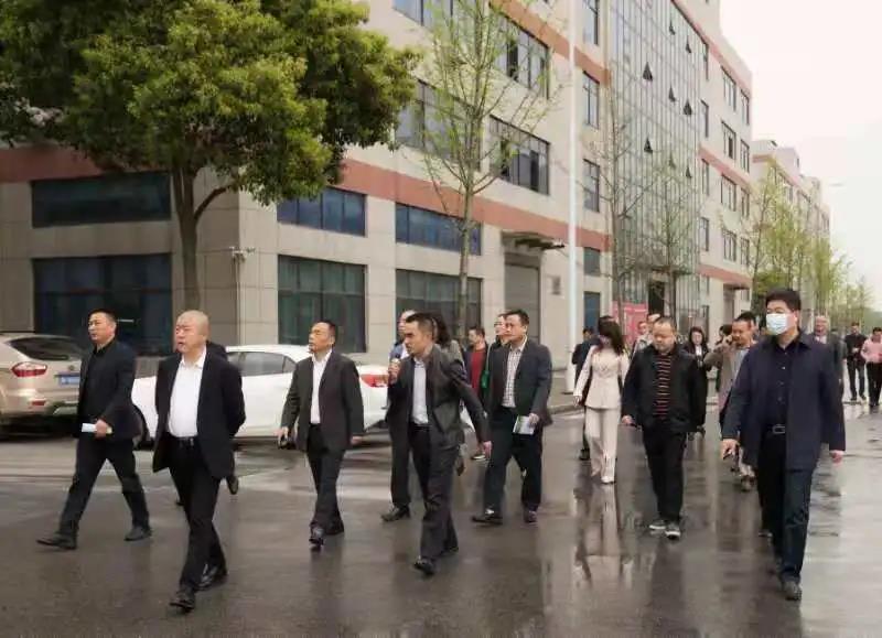 东莞华容商会部分会员返乡考察，奋力谱写家乡发展新篇章