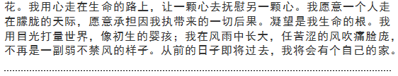 琨能新品：玲珑4号