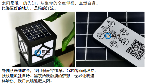 琨能新品：玲珑4号