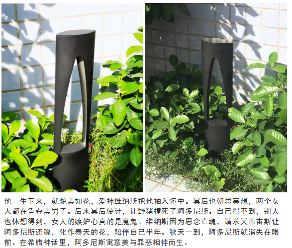 琨能新品：玲珑5号