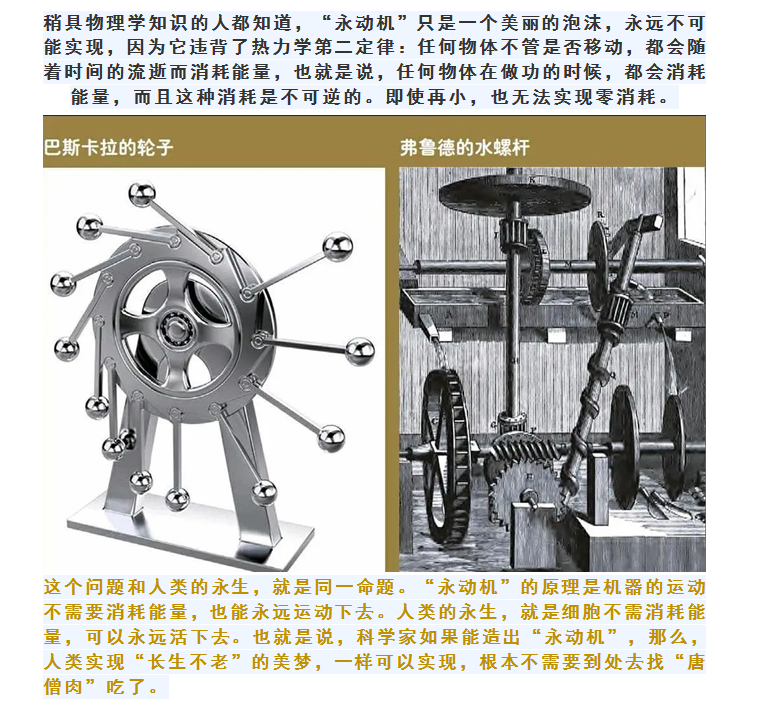 琨能将星谱：“永动机”谢彩霞